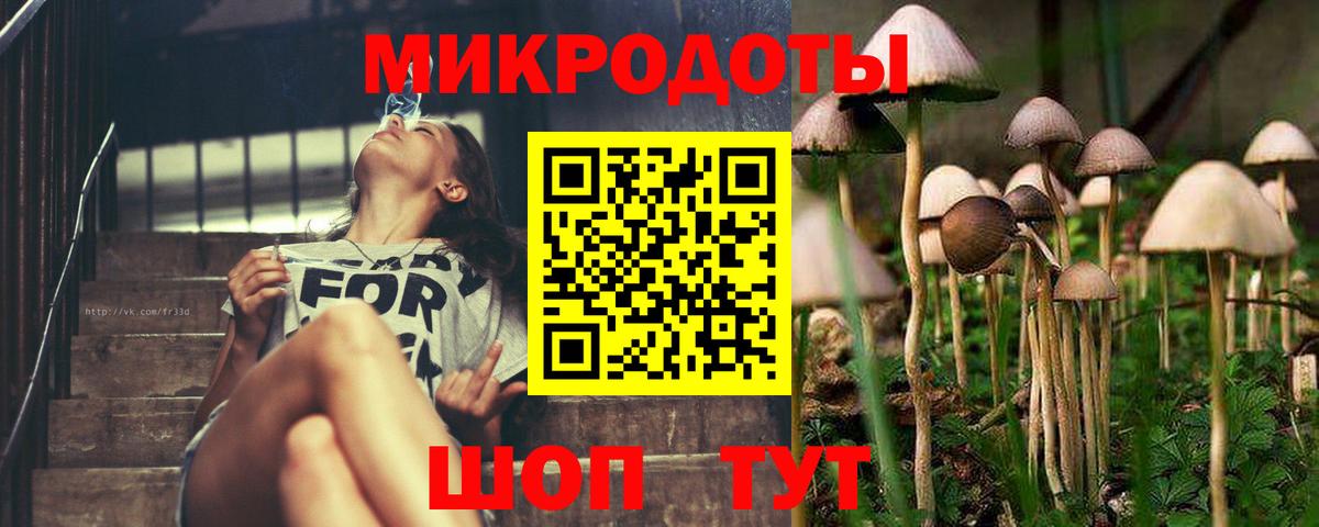 Галлюциногенные грибы Magic Shrooms  Псилоцибиновые грибы Psilocybine cubensis  Вход с VPN  Клинцы 